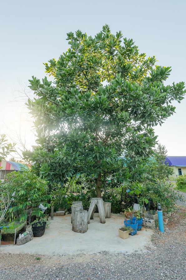 Ariya Garden Home Chumphon Luaran gambar